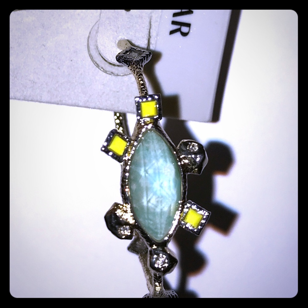 Alexis Bittar New Hoop Earrings, Unique & Gorgeous